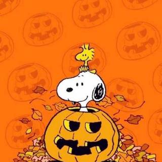 Halloween Peanuts wallpaper