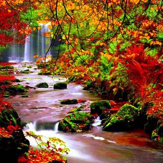 River in autumn wallpaper