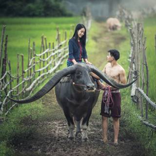 Farmer women wallpaper