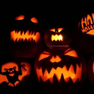 Halloween photos wallpaper