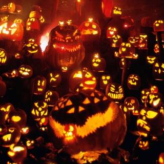 Halloween pumpkins cute wallpaper