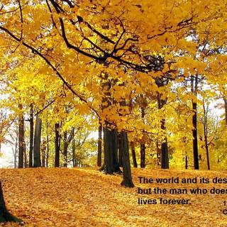 Autumn verse wallpaper