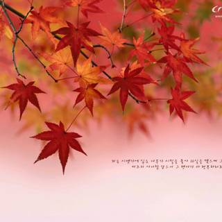 Autumn verse wallpaper