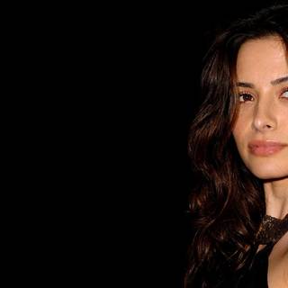 Sarah Shahi wallpaper