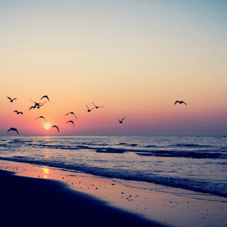 Tumblr aesthetic beach pictures wallpaper