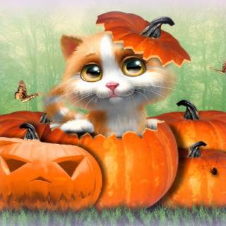 Halloween with kittens wallpaper