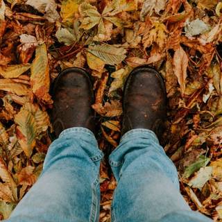 Macbook autumn wallpaper