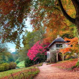 Fall cottage wallpaper