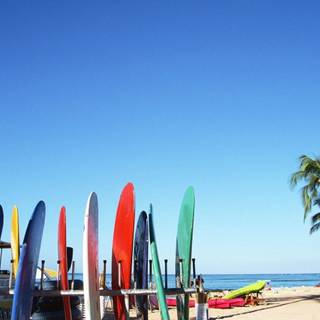 Sky surfer wallpaper