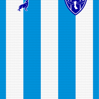 Paysandu wallpaper