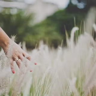 Women hand wallpaper