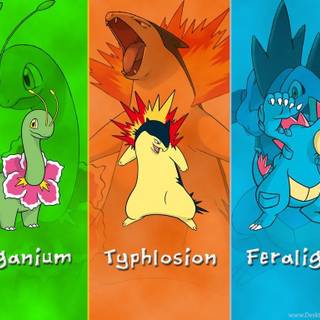 Johto wallpaper