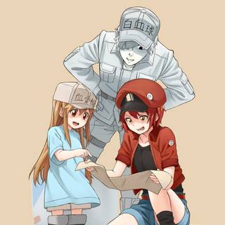 White Blood Cell Cells At Work wallpaper