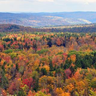 Vermont autumn wallpaper