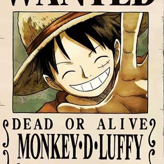 Bounty One piece wallpaper