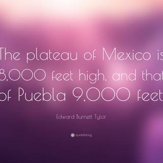 Edward Burnett Tylor wallpaper