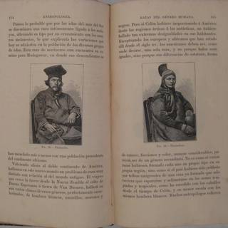 Edward Burnett Tylor wallpaper