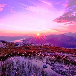 Purple cool sunrise wallpaper
