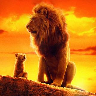 Tumblr Lion King laptop wallpaper