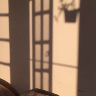 Beige brown aesthetic wallpaper