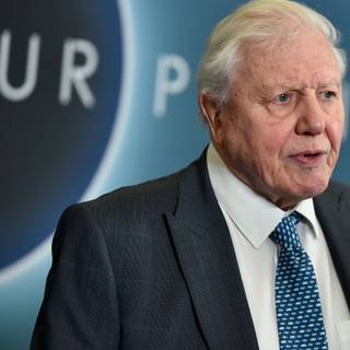 David Attenborough wallpaper