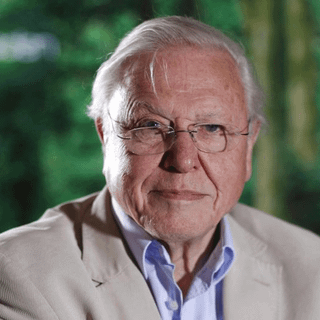 David Attenborough wallpaper