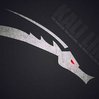 Kali desktop wallpaper
