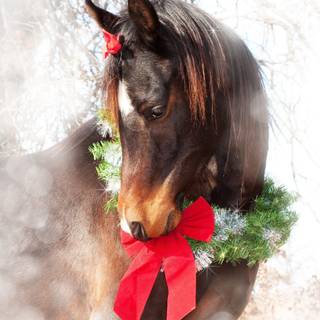 Christmas horse wallpaper