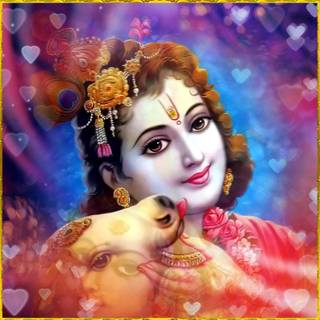 Krishna with cow wallpaper