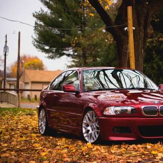 Autumn BMW wallpaper