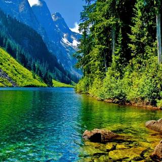 Green water wallpaper