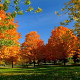 Autumn 2560x1440 wallpaper