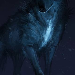 HD wolf phone wallpaper