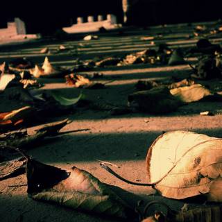 Retro autumn wallpaper