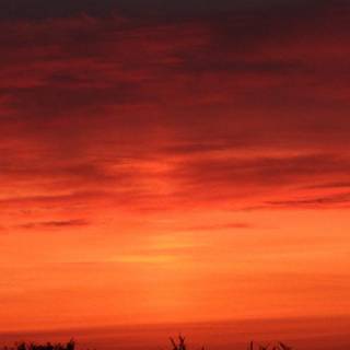 Anime orange sky wallpaper