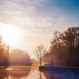 Calm iPhone 11 wallpaper