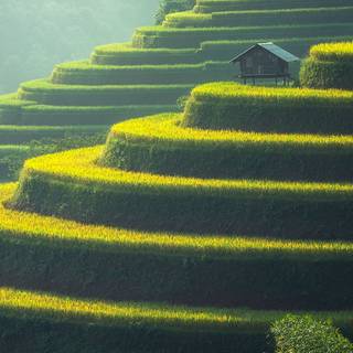 Calm iPhone 11 wallpaper