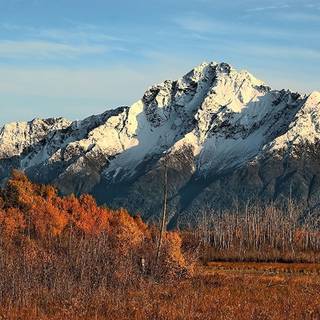 Autumn snowfall wallpaper