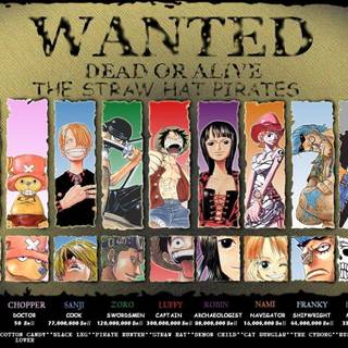 One Piece wanted poster wallpaper