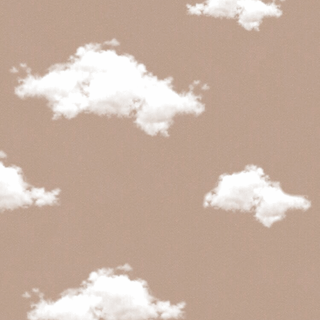 Aesthetic light brown wallpaper