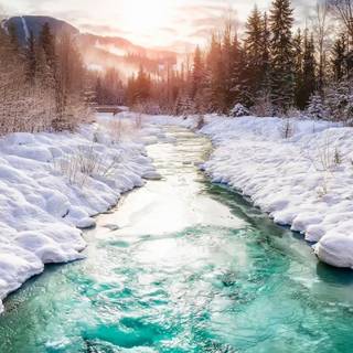 Winter mobile HD wallpaper