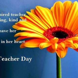 World Teachers' Day HD wallpaper