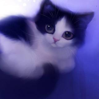Aesthetic cute kitten animation wallpaper