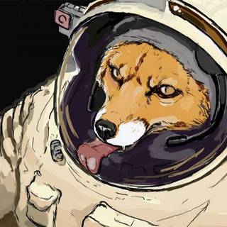 Cartoon fox wallpaper