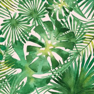 Green tropical leaves desktop wallpaper