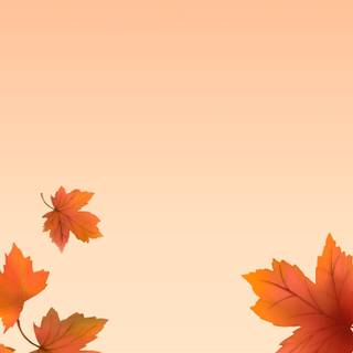Red maple leaves wallpaper