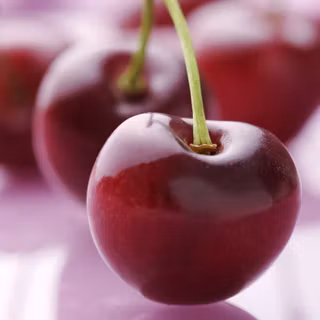 Cherry fruit wallpaper
