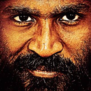 Vada Chennai Dhanush wallpaper