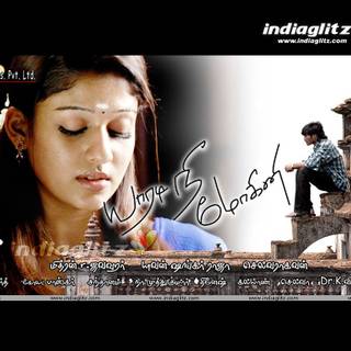 Yaradi Nee Mohini Dhanush wallpaper