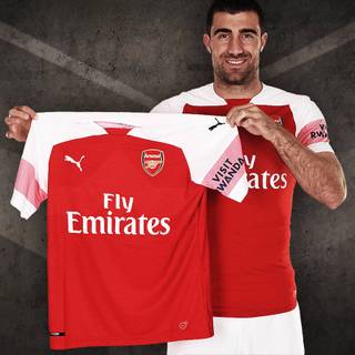 Sokratis Papastathopoulos wallpaper